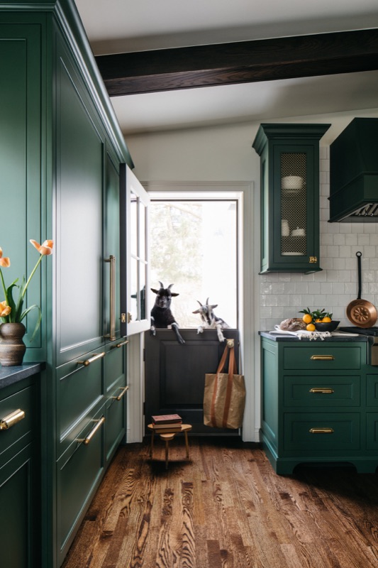 Green pantry wall with ladder access and oak floors · Glenview Kitchen Addition & Renovation by Leah Phillips Interiors