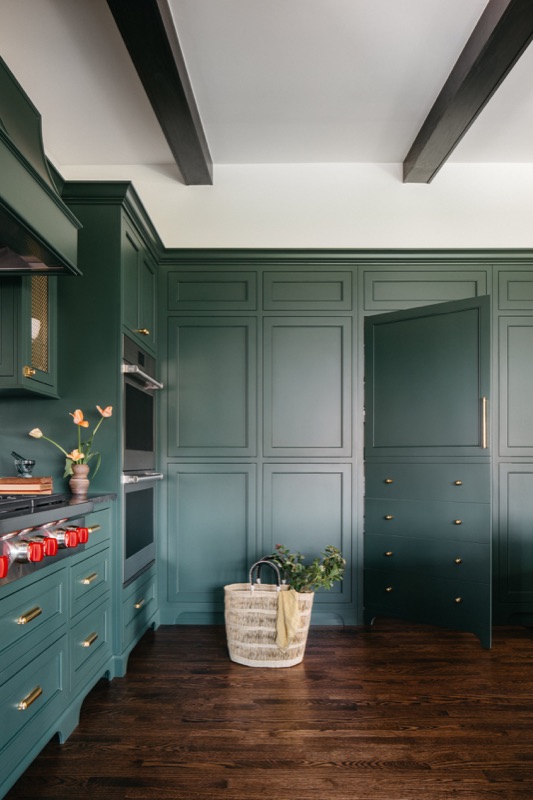 Green cabinetry detail with inset panels and brass knobs · Glenview Kitchen Addition & Renovation by Leah Phillips Interiors