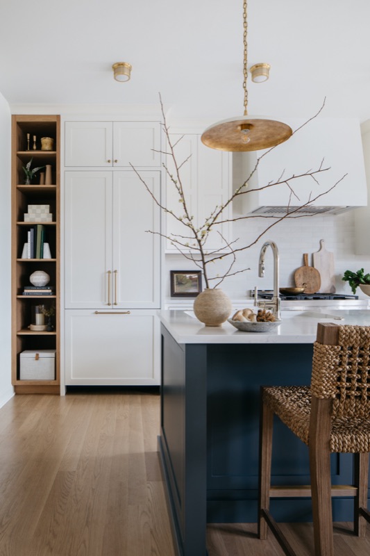 Lincoln Park Renovation in Lincoln Park, Chicago by Leah Phillips Interiors
